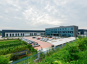 爱游戏平台